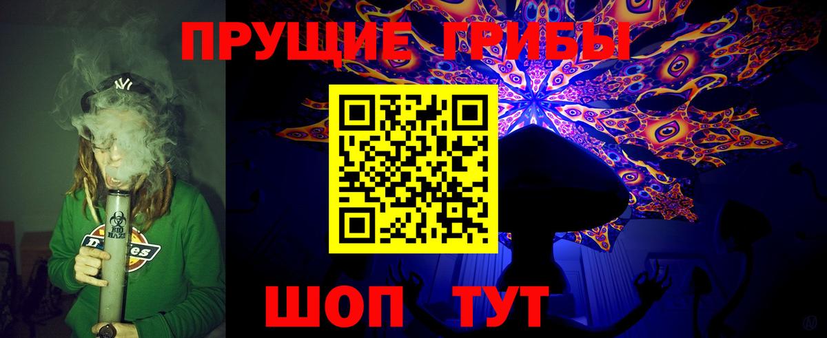 цена   Псилоцибиновые грибы Cubensis  Вход с VPN  Похвистнево 