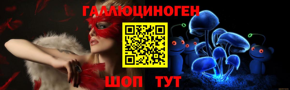 Галлюциногенные грибы Psilocybe Похвистнево